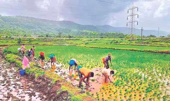 कोकणात ‘कोकण सुवास’चा दरवळ…!