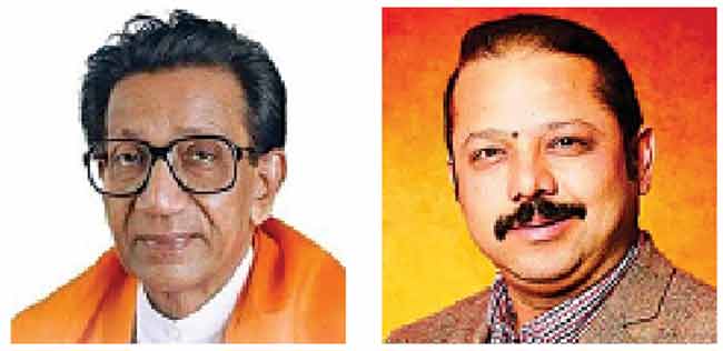 आता शिवसेनाप्रमुखांना अनुभवताही येणार!