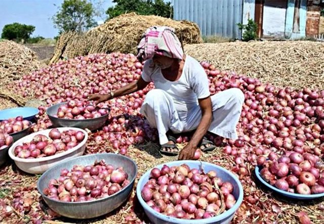 कांदा विक्रीचे पैसे थकवल्याने शेतकऱ्यांचा संताप