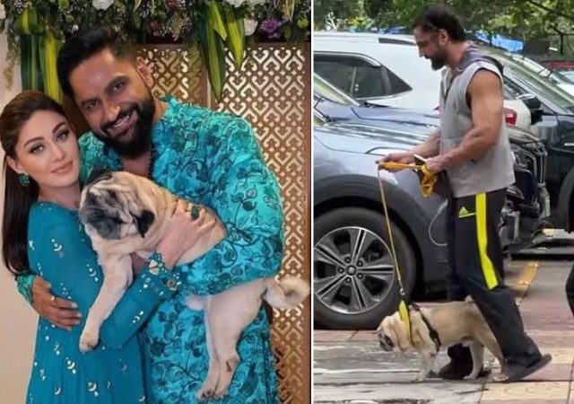 Parag Tyagi trolled: शेफालीच्या मृत्युला २४ तास उलटत नाही, तोच पती पराग... युजर्सने केले ट्रोल