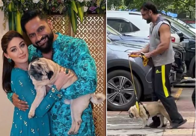 Parag Tyagi trolled: शेफालीच्या मृत्युला २४ तास उलटत नाही, तोच पती पराग… युजर्सने केले ट्रोल