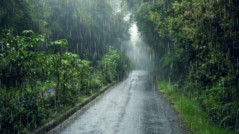 पालघर, ठाणे, मुंबई, रायगड, रत्नागिरी, सिंधुदुर्गला मुसळधार पावसाचा इशारा
