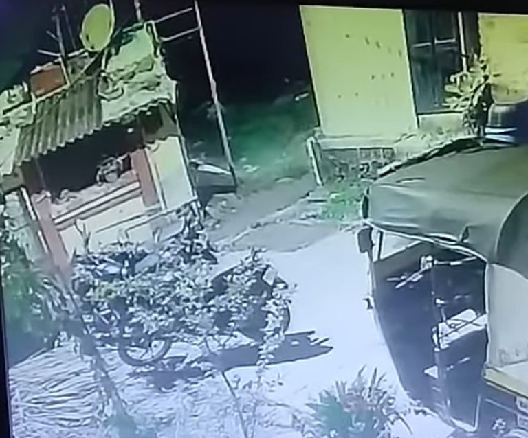 मांजरीला पकडण्यासाठी बिबट्याची घरावर उडी; घराची भिंत पडली!