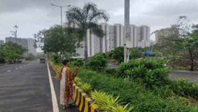 शहरातील रस्त्यामधील दुभाजकही सौंदर्याने फुलणार