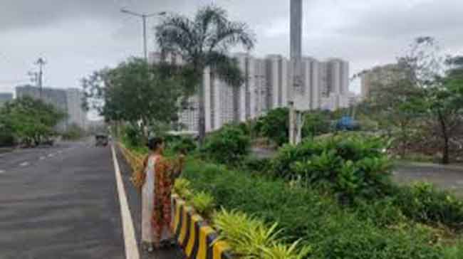शहरातील रस्त्यामधील दुभाजकही सौंदर्याने फुलणार