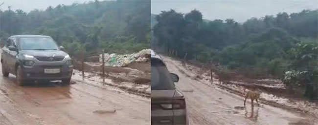 मुंबई गोवा राष्ट्रीय महामार्गावर पाईप गळतीमुळे वाहने घसरण्याचा धोका