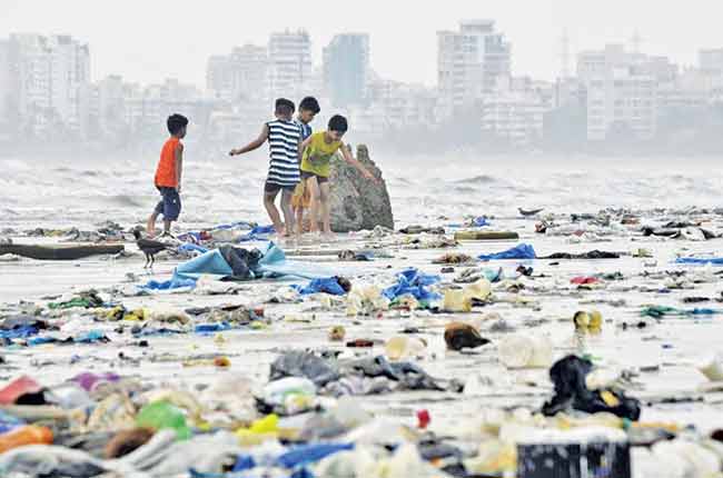 जुहू, दादर, माहीम चौपाट्यांची स्वच्छता महापालिकाच करणार