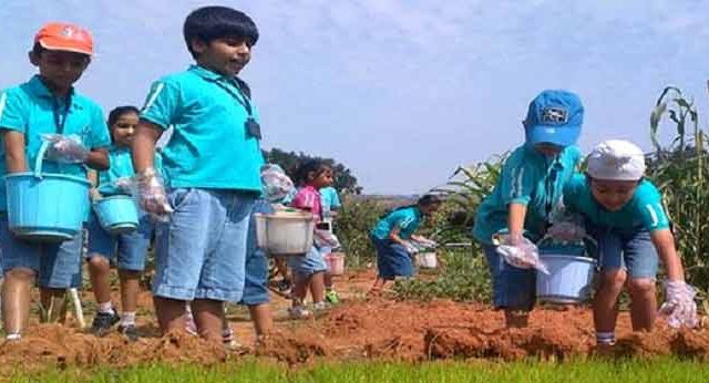 विद्यार्थ्यांसाठी शेतीविषयक अभ्यास दौरे असावेत