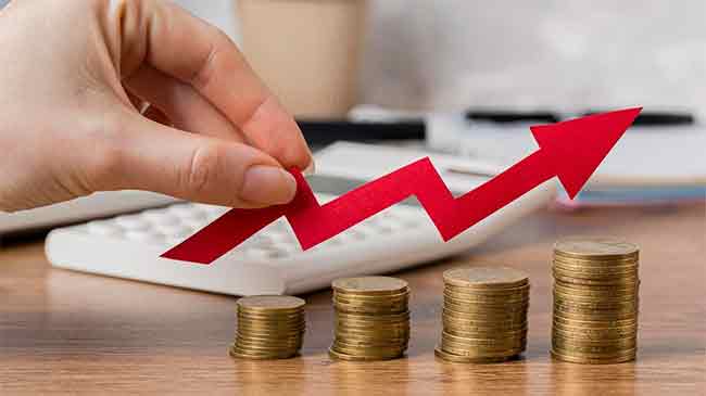 DSP SIF Investment Fund: डीएसपी म्युच्युअल फंडने Endurance SIF लाँच केले! SIF म्हणजे नक्की काय ?
