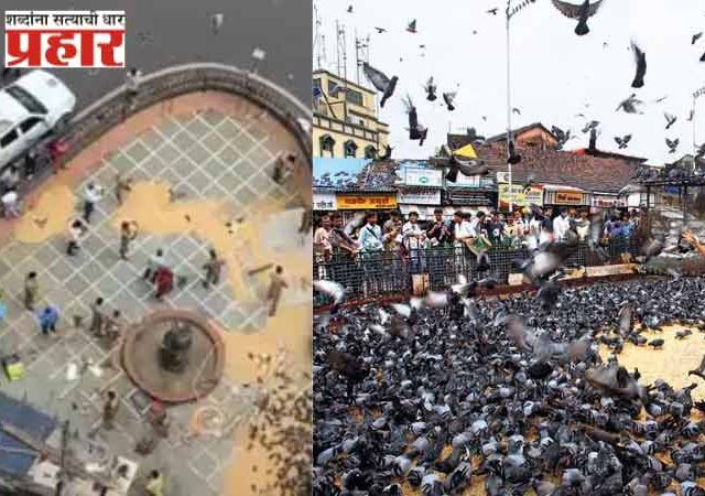 दादरचा ऐतिहासिक कबूतरखाना बंद: मुंबईची एक ओळख काळाच्या पडद्याआड
