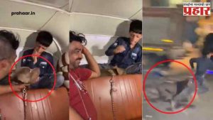 Viral Video : मालकाचा निर्लज्जपणा, ११ वर्षाच्या मुलावर सोडला पिटबुल; व्हिडिओ व्हायरल