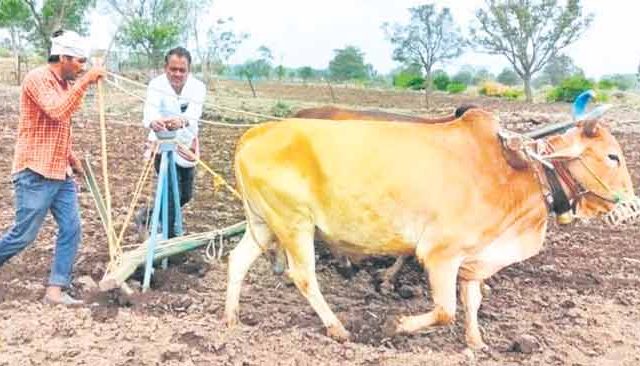 दुबार पेरणीचे संकट टळले...