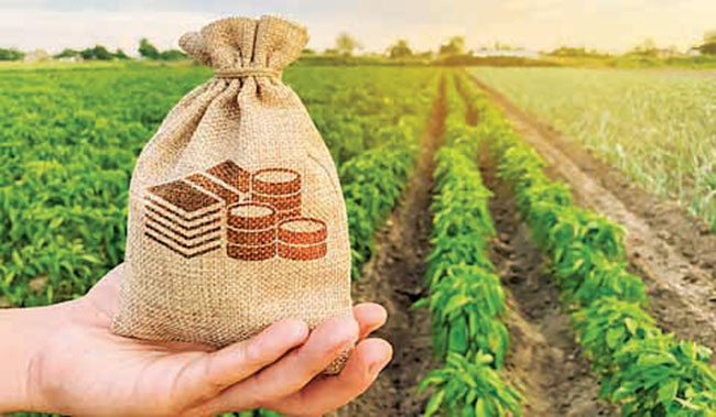 crop registration : प्रत्येक हंगामात १०० टक्के पीक नोंदणी बंधनकारक