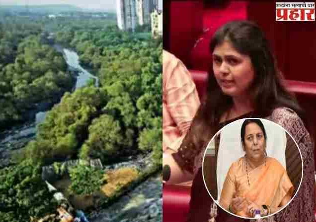 अंधेरीतील ३०० एकर कांदळवन व वृक्षतोडीच्या विनाशकारी हस्तक्षेप संबंधी पंकजा मुंडेंवर प्रश्नांची चौफेर सरबत्ती, उपसभापती बोलल्या...