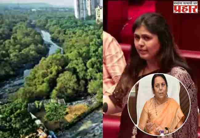 अंधेरीतील ३०० एकर कांदळवन व वृक्षतोडीच्या विनाशकारी हस्तक्षेप संबंधी पंकजा मुंडेंवर प्रश्नांची चौफेर सरबत्ती, उपसभापती बोलल्या…