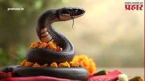 Nagpanchami 2025 : उद्या नागपंचमी! या दिवशी काय करावं? अन् काय करू नये? जाणून घ्या