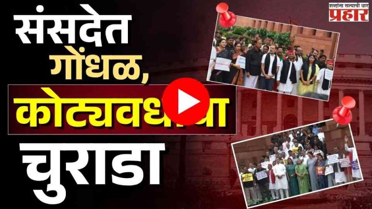संसदेत गोंधळ, जनतेच्या पैशांचा अपव्यय