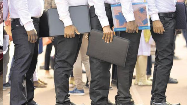 बेरोजगार उमेदवारांसाठी रोजगार मेळावा