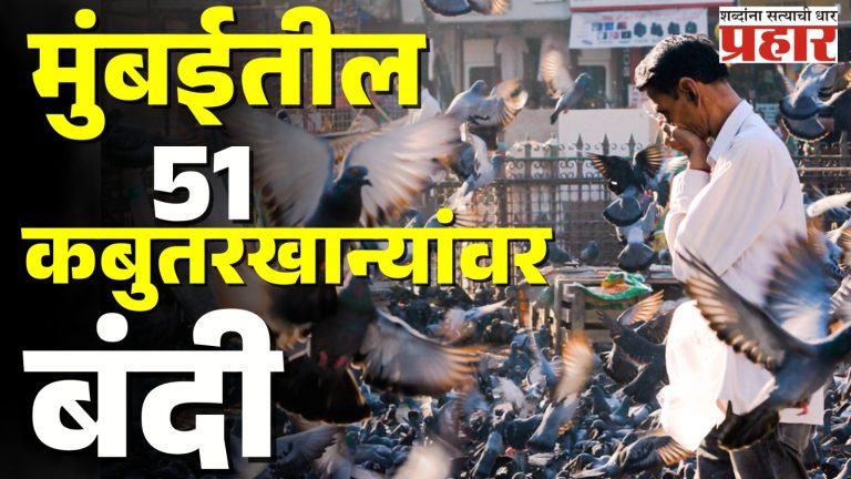 मुंबईतील ५१ कबुतरखान्यांवर बंदी