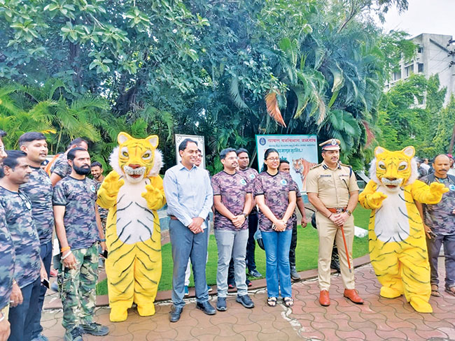 केळीच्या बागांत राहणाऱ्या वाघांना ओळख देण्यात वनविभागाचे अपयश