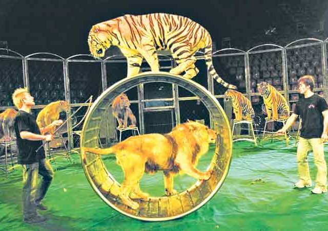 सर्कस आणि आपण