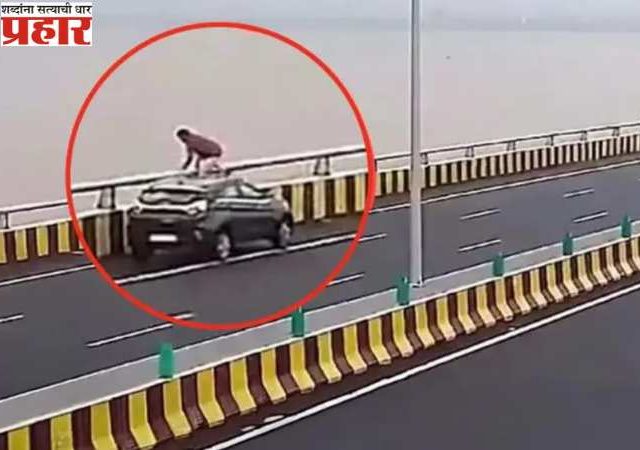 Doctor Suicide: अटल सेतूवरून जे.जे. रुग्णालयातील डॉक्टरची खाडीत उडी; शोधकार्य सुरू