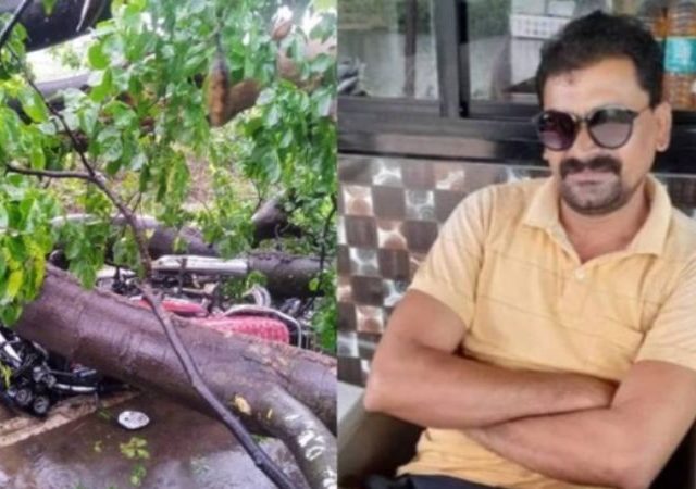 नागपूरमध्ये दुर्दैवी घटना: शाळेत मुलाला सोडायला जाताना झाड पडून वडिलांचा मृत्यू, मुलगा जखमी