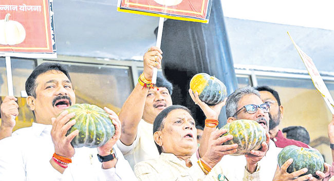 विरोधकांच्या हाती भोपळा…