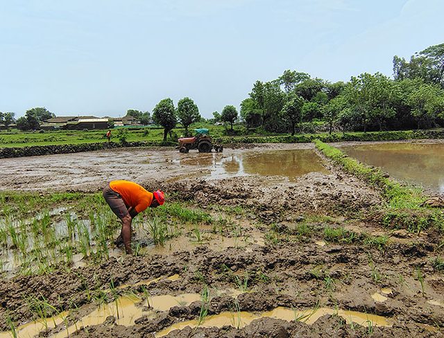 सर्वदूर कोसळणाऱ्या मुसळधार पावसाची मोखाड्यात मात्र विश्रांती