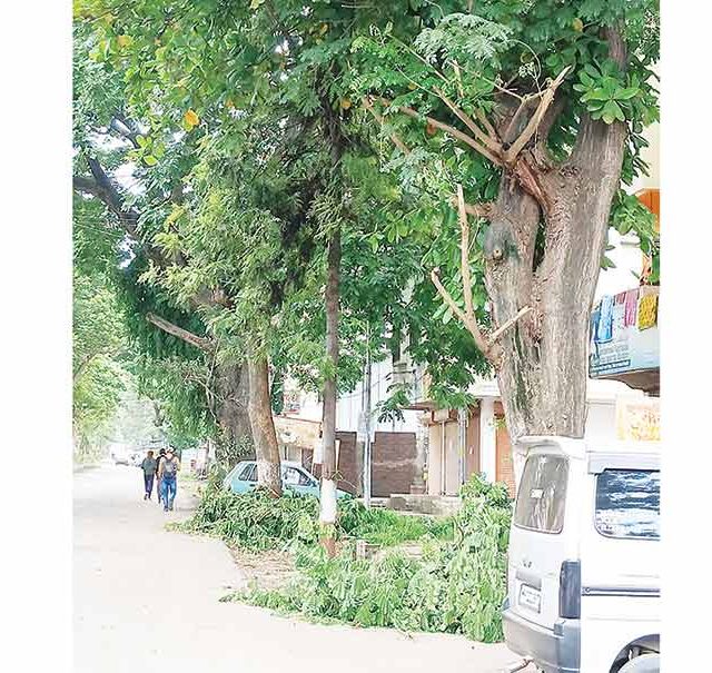 नवीन नाशिकच्या रस्त्यांनी घेतला मोकळा श्वास