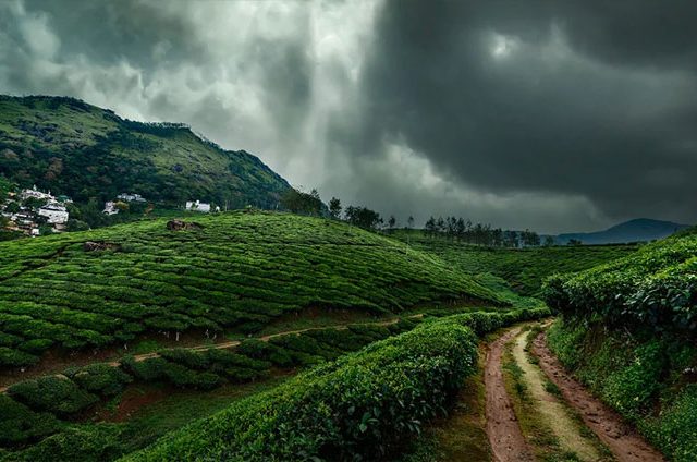 ऑक्टोबर महिन्यात देशात सरासरीपेक्षा अधिक पावसाचा अंदाज, हवामान विभागाने दिली माहिती