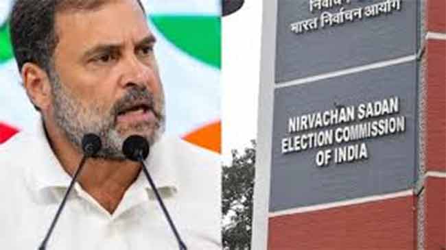 निवडणूक आयोगाचे राहुल गांधींना सडेतोड उत्तर