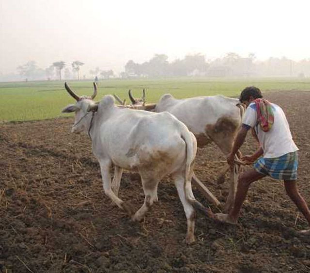 जिल्ह्याची कृषिप्रधान ओळख मिटण्याची चिन्हे