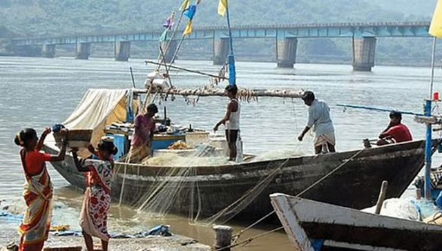 जिल्ह्याच्या मत्स्यव्यवसाय विकास विभागात मनुष्यबळाचा अभाव