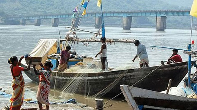 जिल्ह्याच्या मत्स्यव्यवसाय विकास विभागात मनुष्यबळाचा अभाव