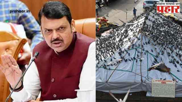 Devendra Fadnavis on Mumbai Kabutar Khana : “कबुतरखाने अचानक बंद करू नका”, कबुतरांना खुराक देण्याची जबाबदारी बीएमसीचीच…फडणवीसांची सूचना