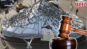 मुंबईत कबुतरांना खायला घालण्यावर बंदी कायम, सर्वोच्च न्यायालयाचा हस्तक्षेप करण्यास नकार