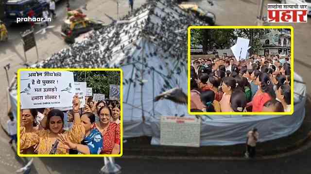 Kabutar Khana : “१००% टॅक्स लावा, आम्ही तयार!”, कबुतरखान्यासाठी गुजराती-जैन समाज आक्रमक!