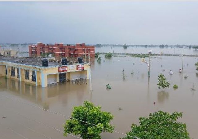 पंजाबमध्ये पुराचा हाहाकार, नवोदय विद्यालयात ४०० मुले अडकली; प्रशासनाच्या हलगर्जीपणामुळे पालकांमध्ये संताप