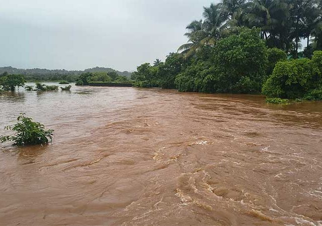 रायगडच्या बाळगंगा नदीने ओलांडली धोक्याची पातळी