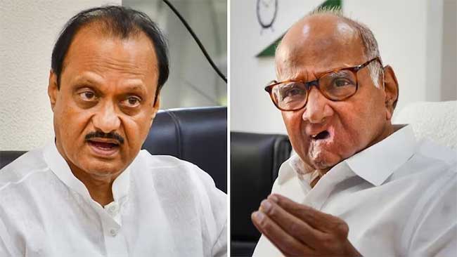 अजित पवारांचे दोन, तर शरद पवारांचा एक नगरसेवक मुंबईत विजयी