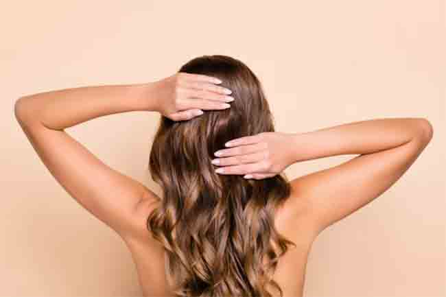 Hair Care: केस गळती थांबवण्यासाठी ‘या’ ५ बियांचे सेवन करा, नैसर्गिकरित्या केस वाढतील