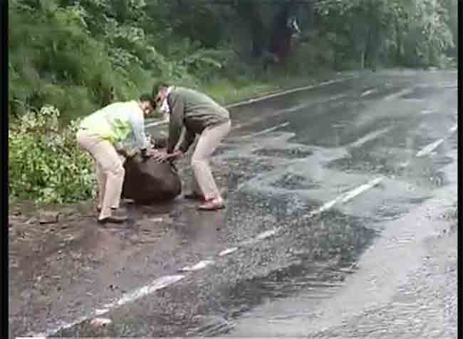 इगतपुरीत मुसळधार, धरणांतून पाण्याचा विसर्ग; बरीच गावे संपर्काबाहेर, घाटात दरडही कोसळली