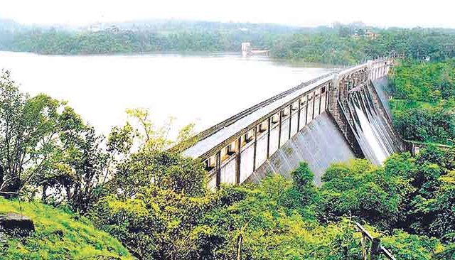 मुसळधार पावसामुळे सातही तलावांच्या पाणीपातळीत वाढ