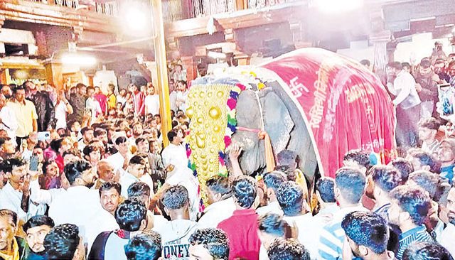 ‘महादेवी हत्तिणी’च्या ‘नांदणी’वापसीचा मार्ग मोकळा, पण कायद्याचा अडसर