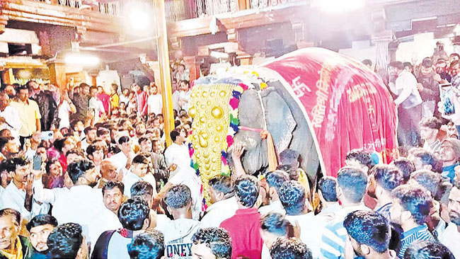 ‘महादेवी हत्तिणी’च्या ‘नांदणी’वापसीचा मार्ग मोकळा, पण कायद्याचा अडसर