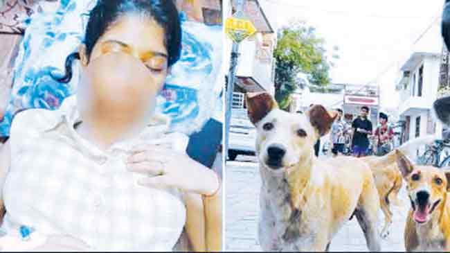 भटक्या कुत्र्यांच्या हल्ल्यात २१ वर्षीय विद्यार्थीनी जखमी