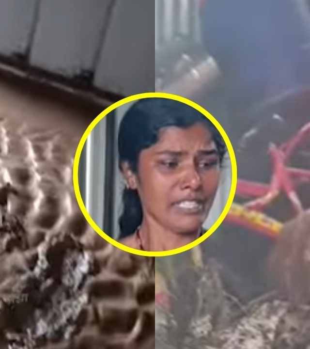 Dharashiv Rain : धाराशिवमध्ये भयावह परिस्थिती! चिखलाच्या वेढ्यात घरं अन् मुलांची वह्या-पुस्तके पाण्यात; मुलं निशब्द तर आई ढसाढसा रडत म्हणाली...