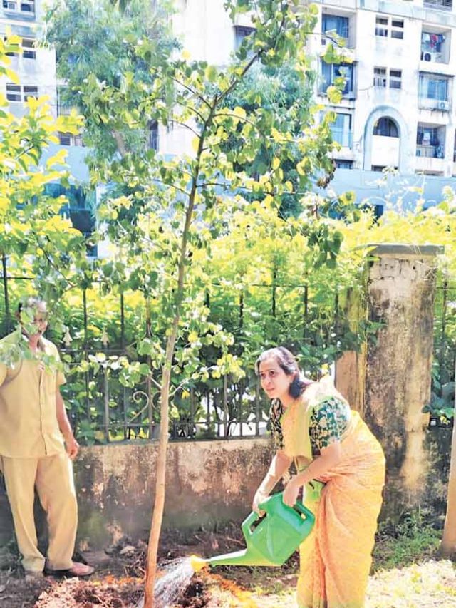 दसऱ्याला सोने लुटतात, तर दारातच लावा ‘आपटा’