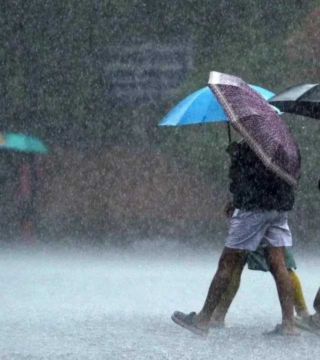 Maharashtra Rain Update : हवामान विभागाचा 'हाय अलर्ट', राज्यातील १० जिल्ह्यांमध्ये मोठा धोका, घराबाहेर पडणे टाळाच!